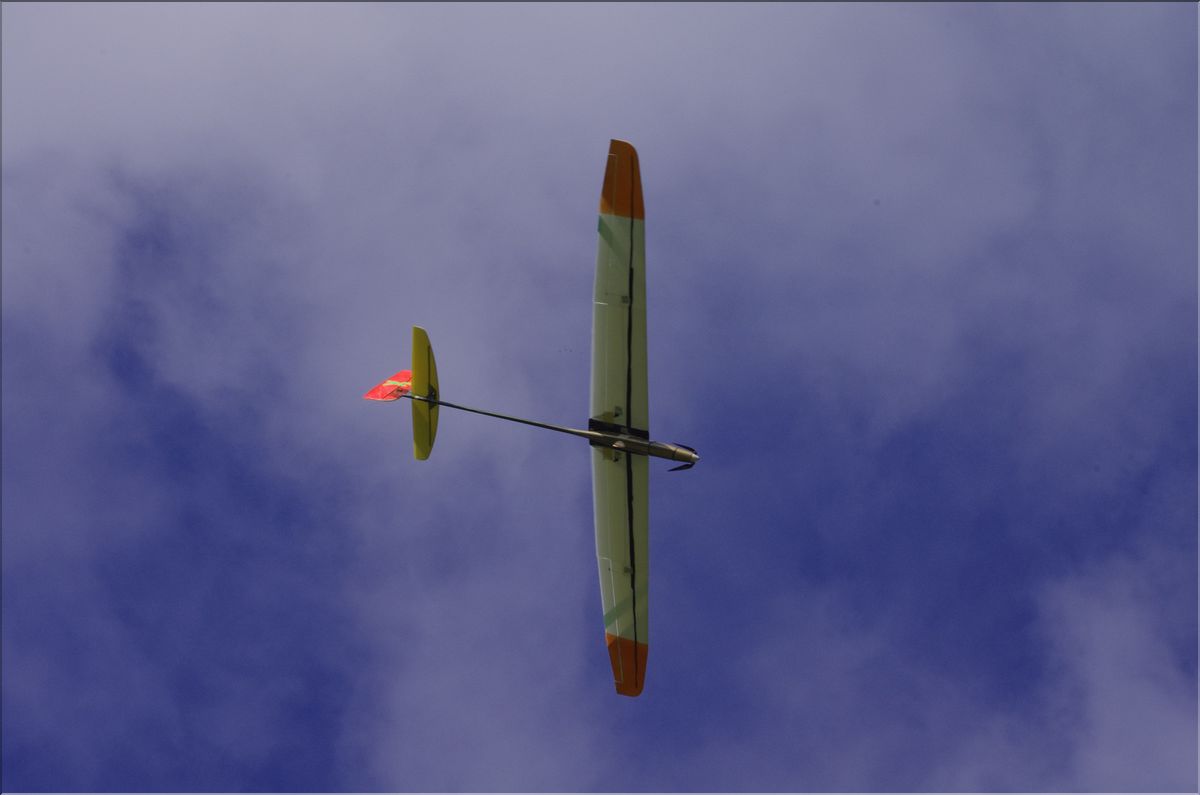 IMGP5044
